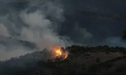 Balıkesir'deki orman yangını