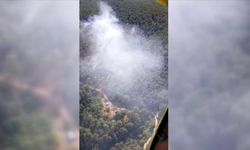 Çankırı Ilgaz’da Alevlerin Ardında Kalan Acı Bilanço