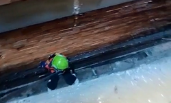 Çaycuma’da Martı Kurtarma Operasyonu!