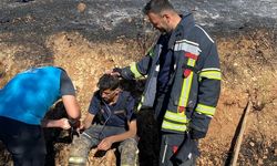 Elazığ'da örtü yangını, söndürüldü