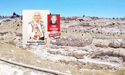 Ezine Ovası tehdit altında!