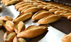 Sağlıklı Sofralar İçin Etimesgut Halk Ekmek’te Yeni Dönem Başladı!