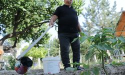 Huzurevinde ürün yetiştirip, mutlu oluyorlar