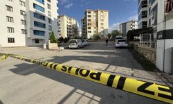 Bingöl'de 2 eve saldırı!