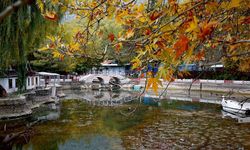 Kuğulu Park’ta Sound of Europe Coşkusu