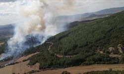 Çanakkale Lapseki’de Orman Yangını