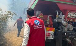 Yangın Bölgelerinde Ülkü Ocakları’ndan Destek