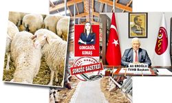 Şap Salgını Yayılıyor: Hayvan Sağlığı Tehdit Altında