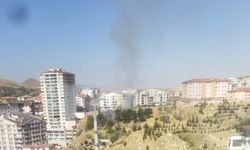 Mamak’ta Otluk Alanda Yangın: Alevler Ağaçlara Sıçradı!