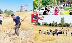 Altınköy’de hasat şenliğiyle geleneksel köy yaşamı canlandı