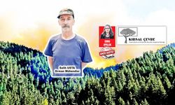 Orman yangınlarıyla mücadelede strateji eksikliği