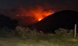Manisa'daki orman yangınına müdahale 10,5 saat sürdü
