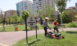 "Çankaya’nın Parklarında Yaz Bakımı Tam Gaz Sürüyor"