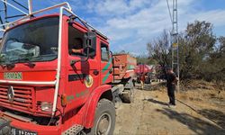 Bursa'nın Mudanya ilçesinde ormanlık alanda yangın çıktı