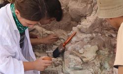 Çankırı’da 4 Bini Aşkın Fosil Bulundu, Kazı Heyecanı Sürüyor