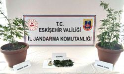 Evinde Hint Keneviri Yetiştiriyormuş!