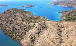 Marmaris'te yanan alanlar yeniden yeşeriyor!