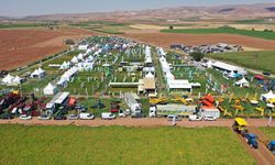 Nevşehir’de Patates Günleri Başladı