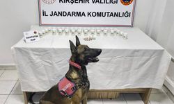 Uyuşturucu operasyonunda 1823 sentetik hap ele geçirildi
