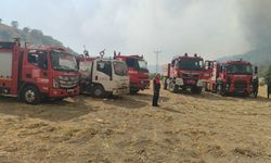 Adıyaman'da Orman Yangını