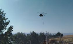 Ankara’da Yangın Ormana Sıçradı