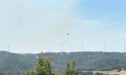 Çanakkale'de orman yangını