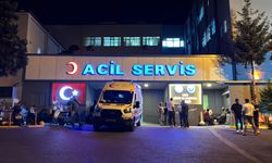 Eşini Yaraladı, Kendini Vurdu