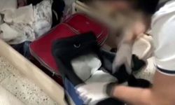 Gaziantep'te uyuşturucu operasyonu