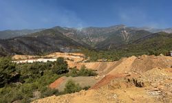 Hatay'da orman yangını