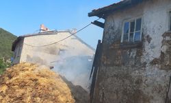 Köyde çıkan yangında 2 ev ve eklentileri yandı!