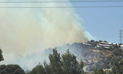 Muğla'da maki yangını