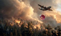 Orman yangınlarına 'pembe küre' projesi