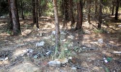 Otizmli çocuklar orman temizliği yaptı