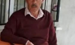 Otomobil, kahvehaneye daldı