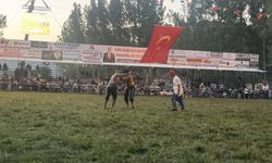 Seki Yağlı Pehlivan Güreşleri’nde Şampiyon İsmail Koç