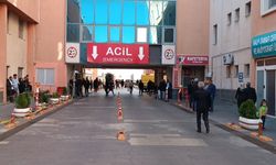 Sulama kanalına girdi, boğuldu