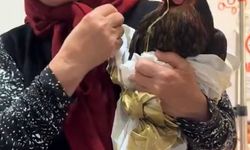 Tavuğu için hastanede röntgen talebinde bulundu
