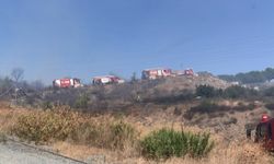 Trafo Yangını Ormanı Tehdit Etti
