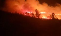 Urla’da Orman Yangını