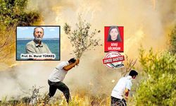 Avcılık faaliyetleri orman yangınlarını tetikliyor mu?