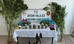 Aydın'da uyuşturucu operasyonu