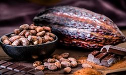 Mükemmel çikolata nedir?