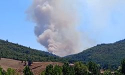 Bursa’da orman yangını