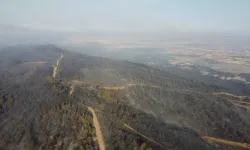 Orman yangınının tahribatı görüntülendi