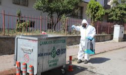 Çankaya’da Yaz Boyu Haşereyle Yoğun Mücadele