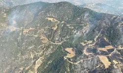 Aydın'daki orman yangını devam ediyor