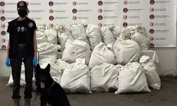 Edirne'de 245 kilo uyuşturucu bulundu