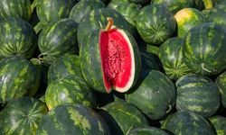 Yapay Zeka ile Karpuz Testi: Artık Vurup Dinlemeye Gerek Yok!