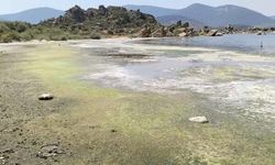 Bafa Gölü kirlilik alarmı verdi