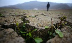 Karadeniz'in dijital ikiziyle ekosistem korunacak